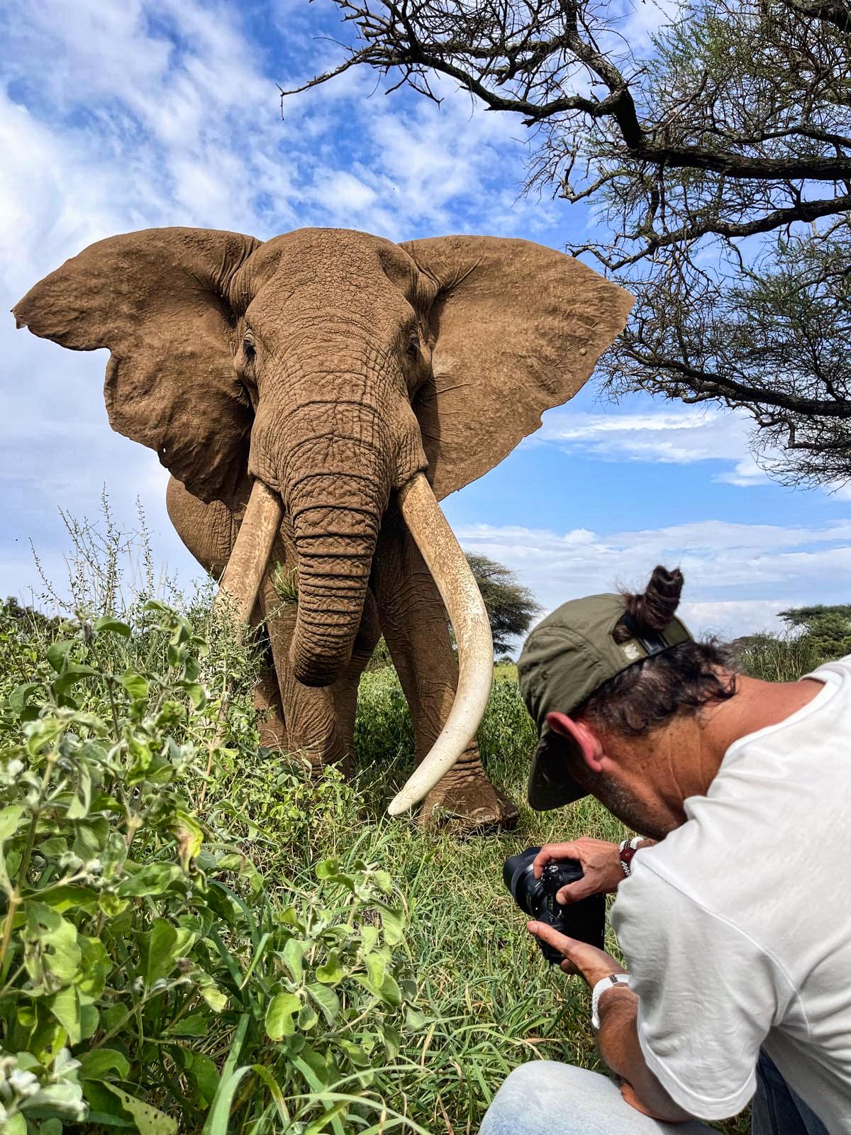 Nando Morales photographing wildlife from the ground during a field assignment
